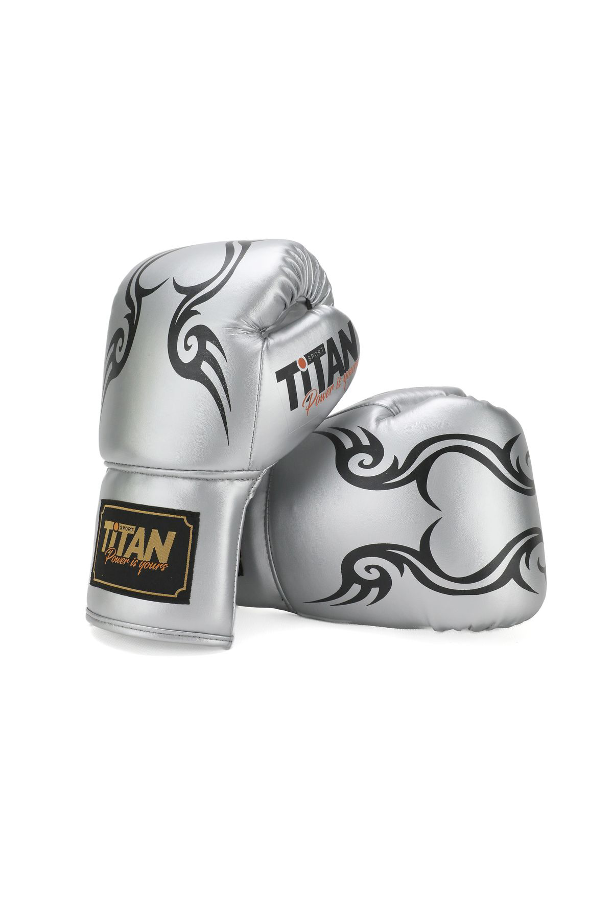 Titan Sport Gümüş (Silver) İpli  Boks Eldiveni