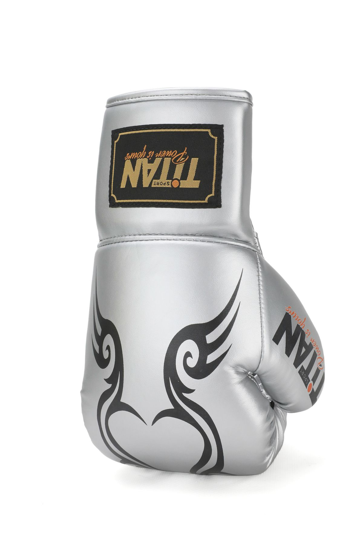 Titan Sport Gümüş (Silver) İpli  Boks Eldiveni