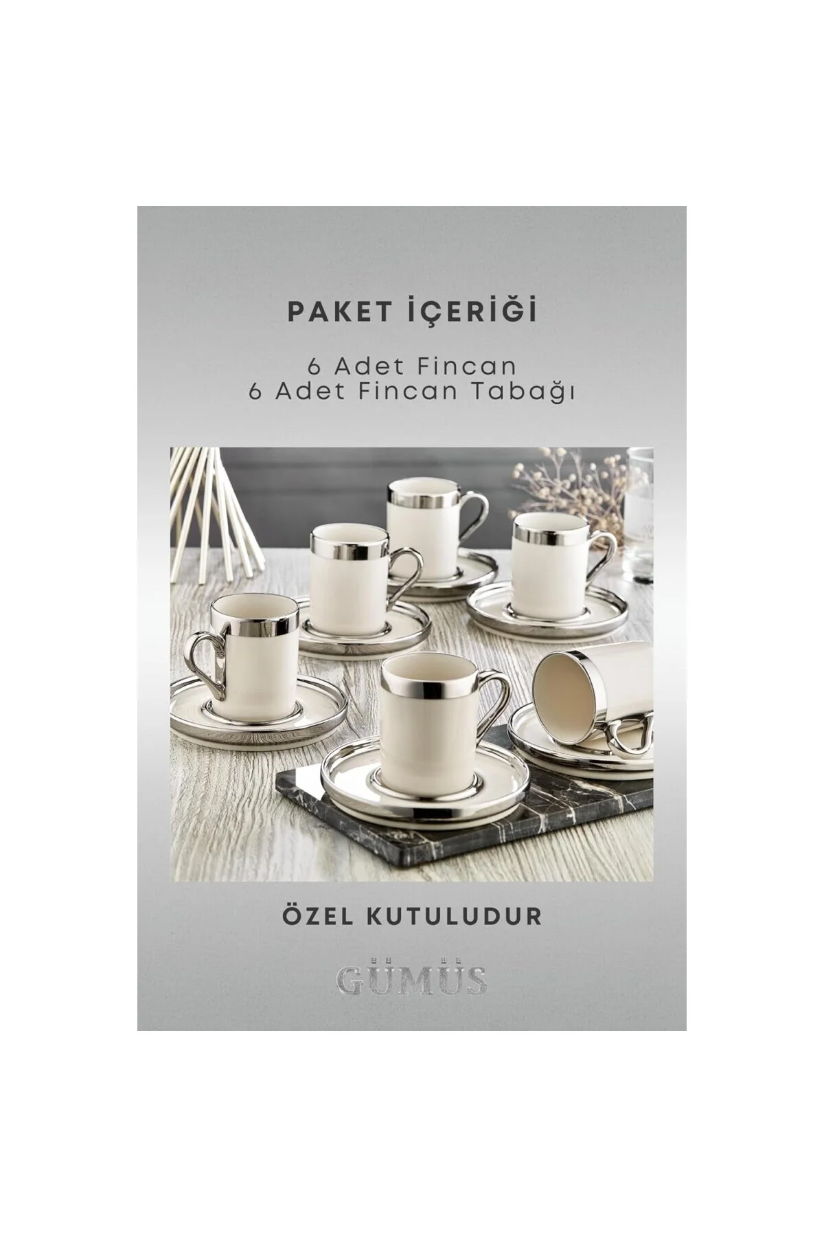 Gümüş Yaldızlı 6 Kişilik Porselen Fincan Seti 12 Parça Türk Kahve