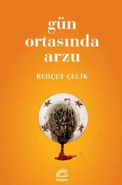 Gün Ortasında Arzu Fiyatı, Yorumları ve Özellikleri