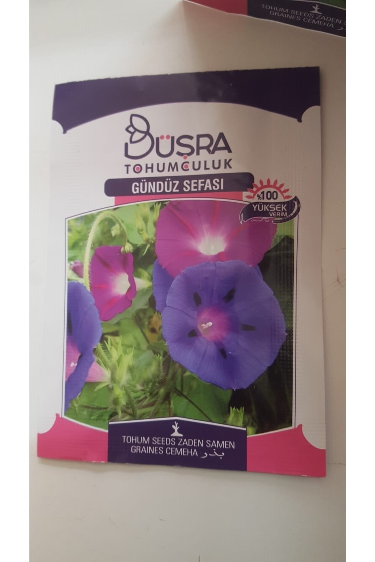 Gündüz Sefası Çiçek Tohumu %100 Verimli