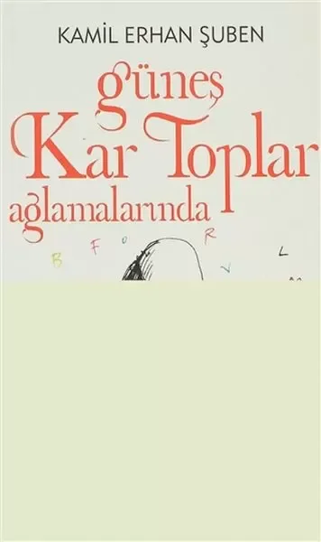 Güneş Kar Toplar Ağlamalarında Fiyatı, Yorumları ve Özellikleri