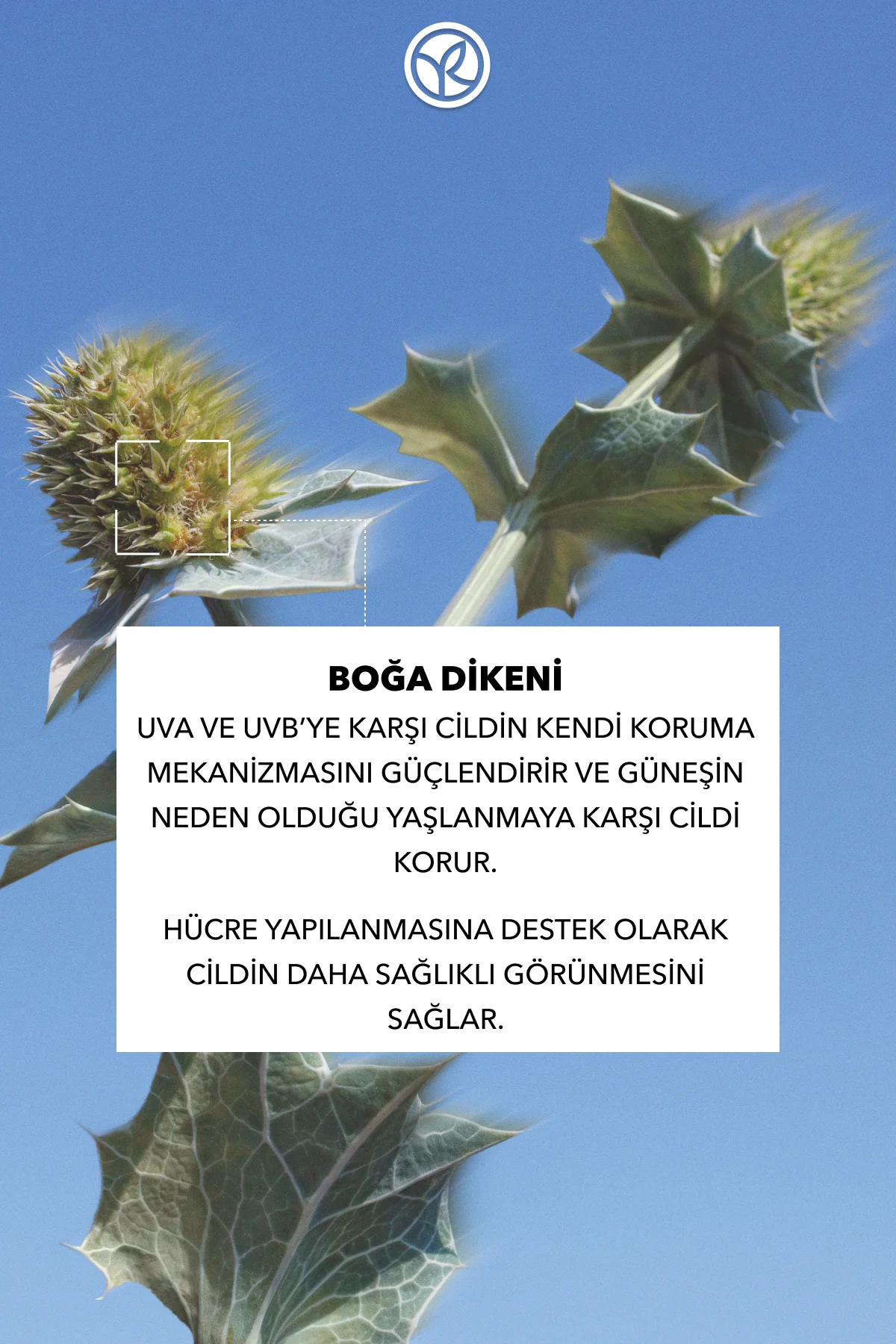 Güneş Sonrası Vücut Losyonu - 3ü 1 Arada / Solaire Peau Parfaite-