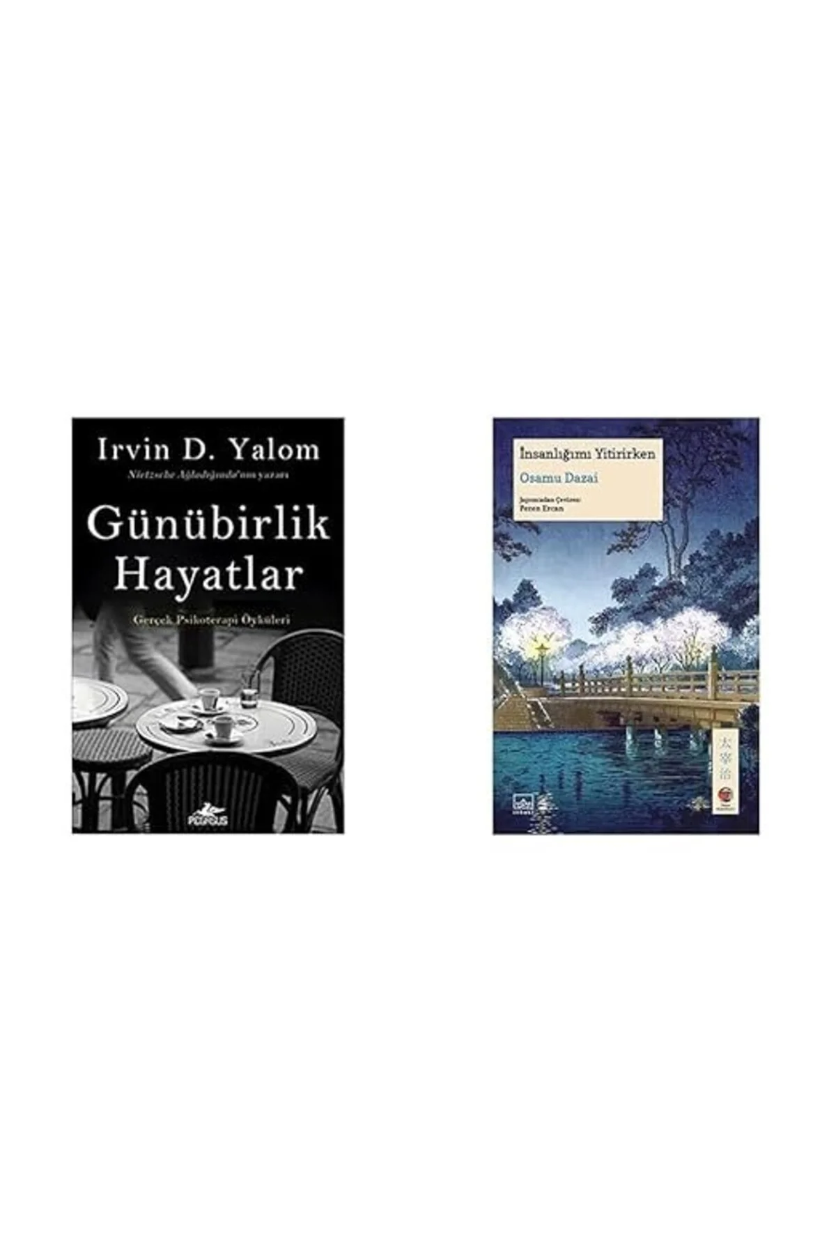 gunubirlik hayatlar+insanligimi yitirirken=2 set