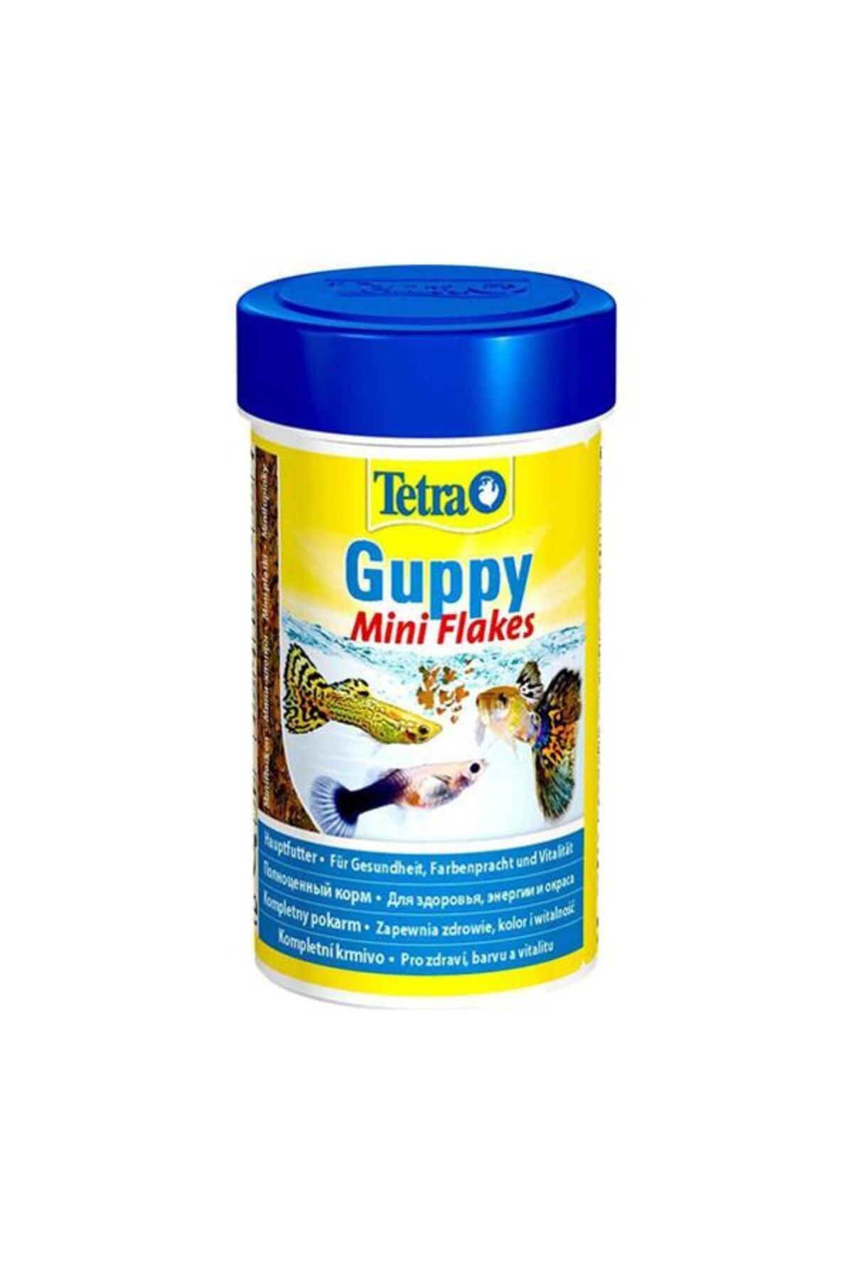 Tetra Guppy Lepistes Yemi 100 Ml