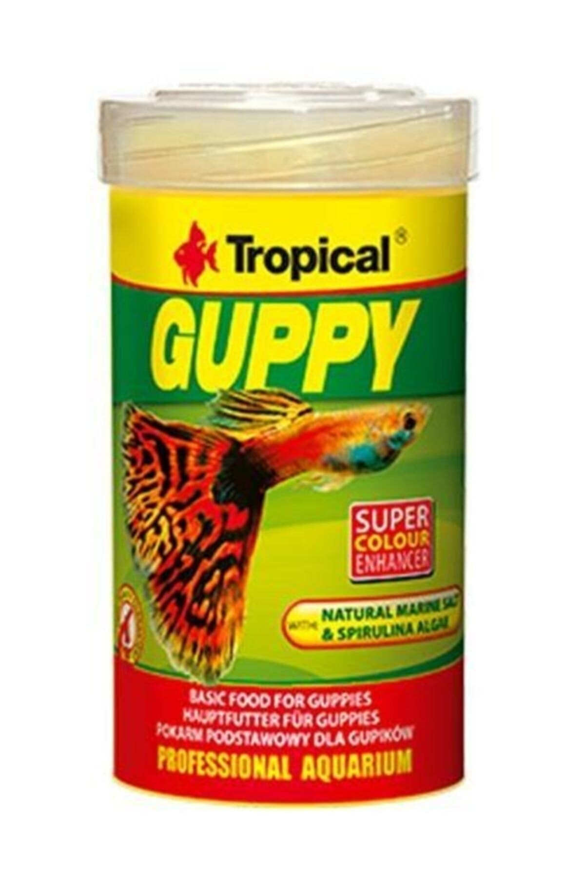 Guppy Lepistes Balıkları Için Pul Balık Yemi 100 ml 20 gr