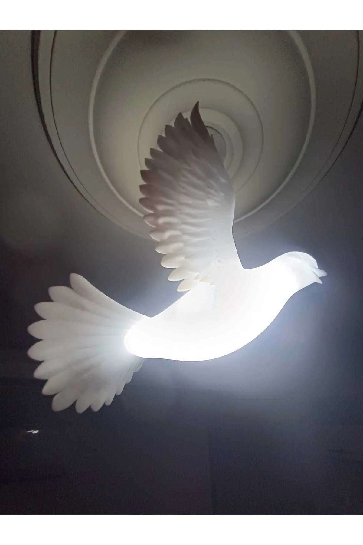 Güvercin Avize