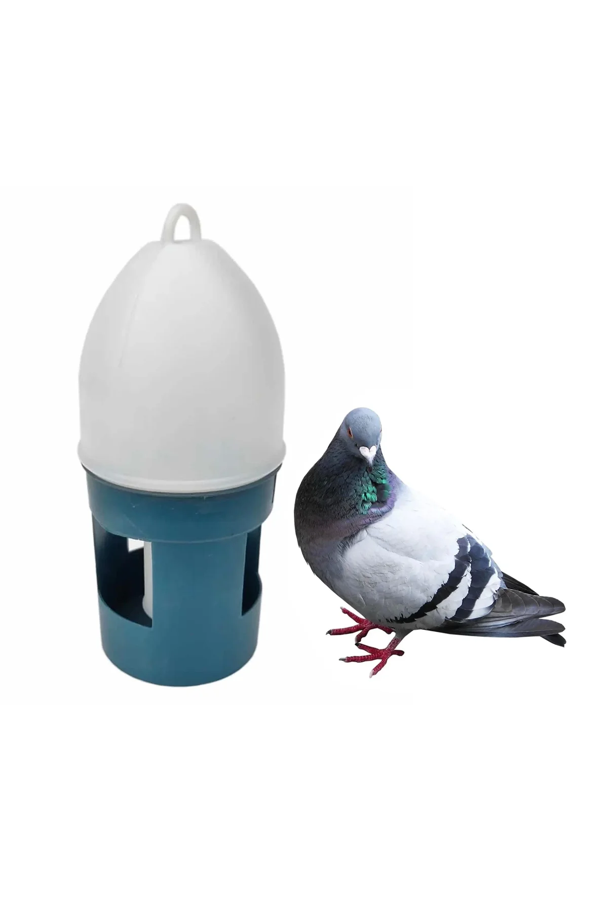 Güvercin Suluğu 1.5lt