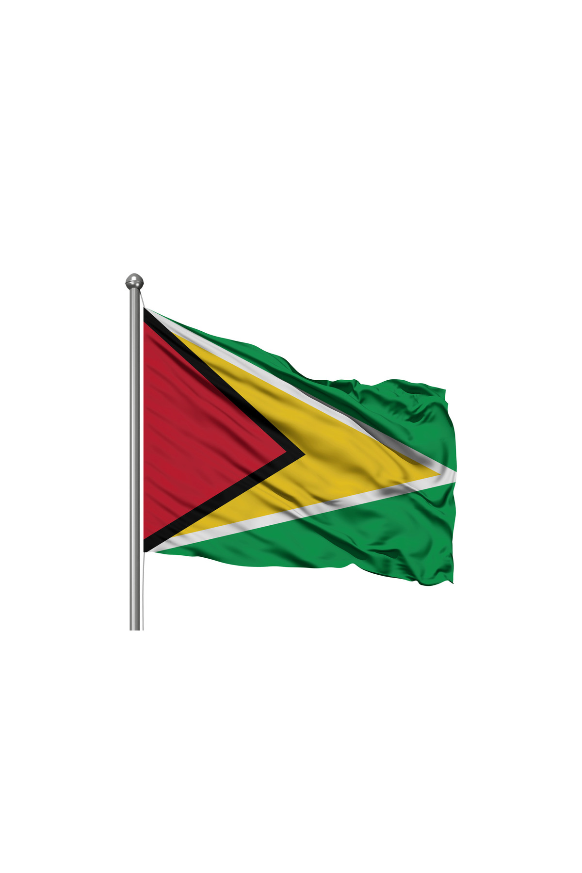 Guyana Devleti Bayrağı - Premium Raşel Kumaş 10x15m