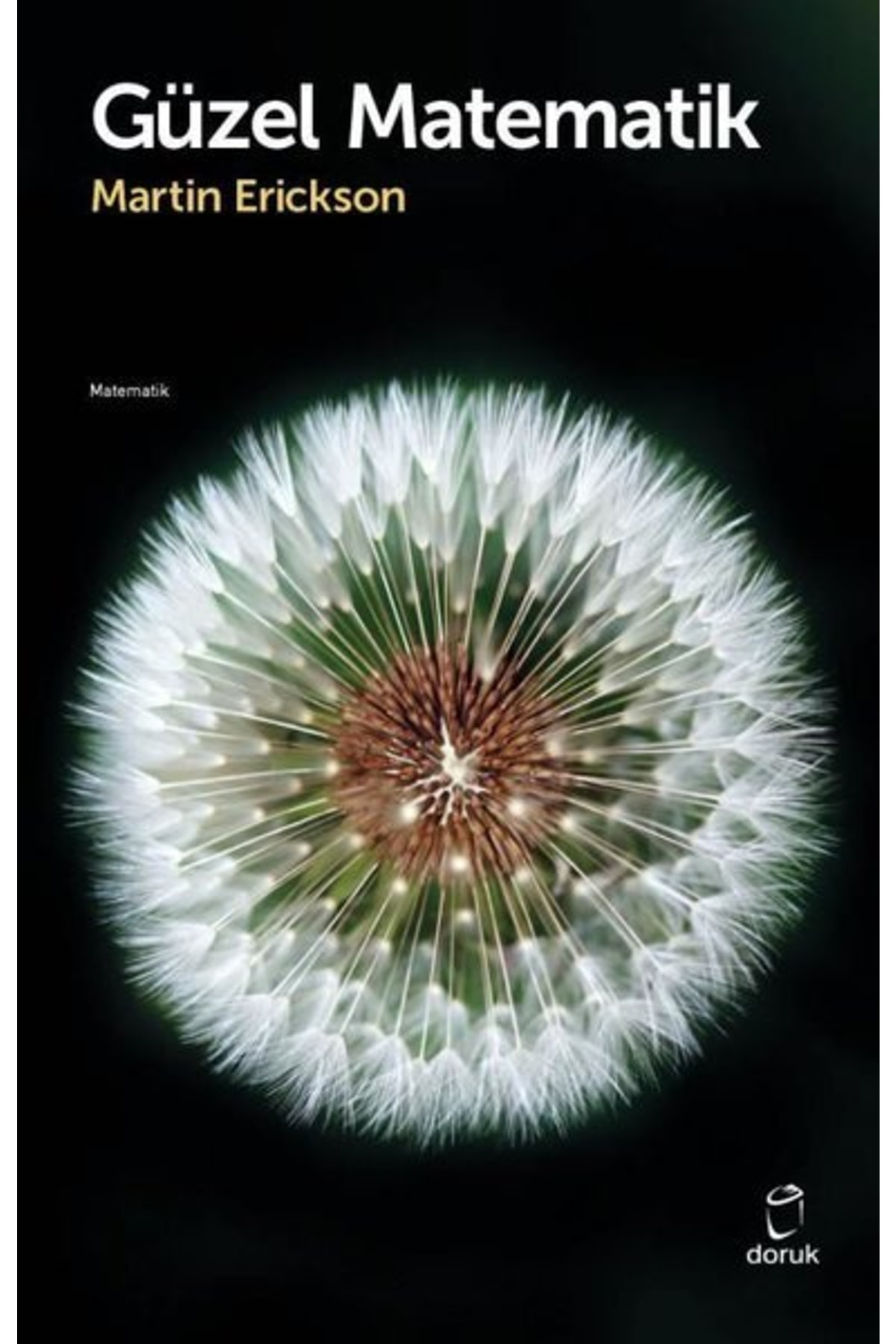 Güzel Matematik / Martin Erickson / Doruk Yayınları / 97897555397