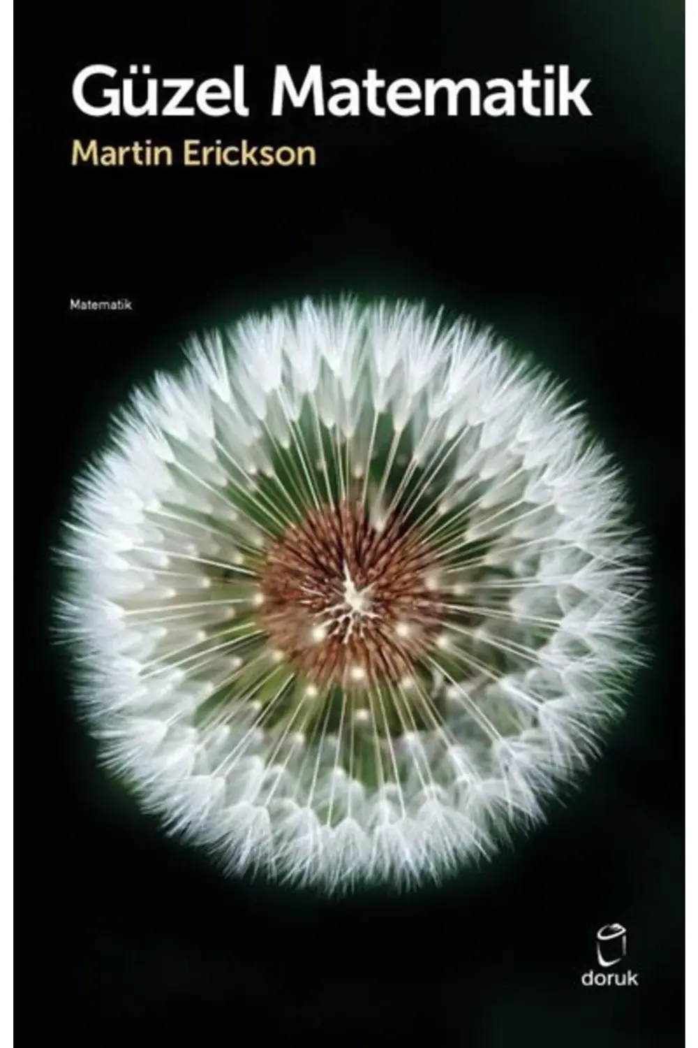Güzel Matematik / Martin Erickson / Doruk Yayınları / 97897555397