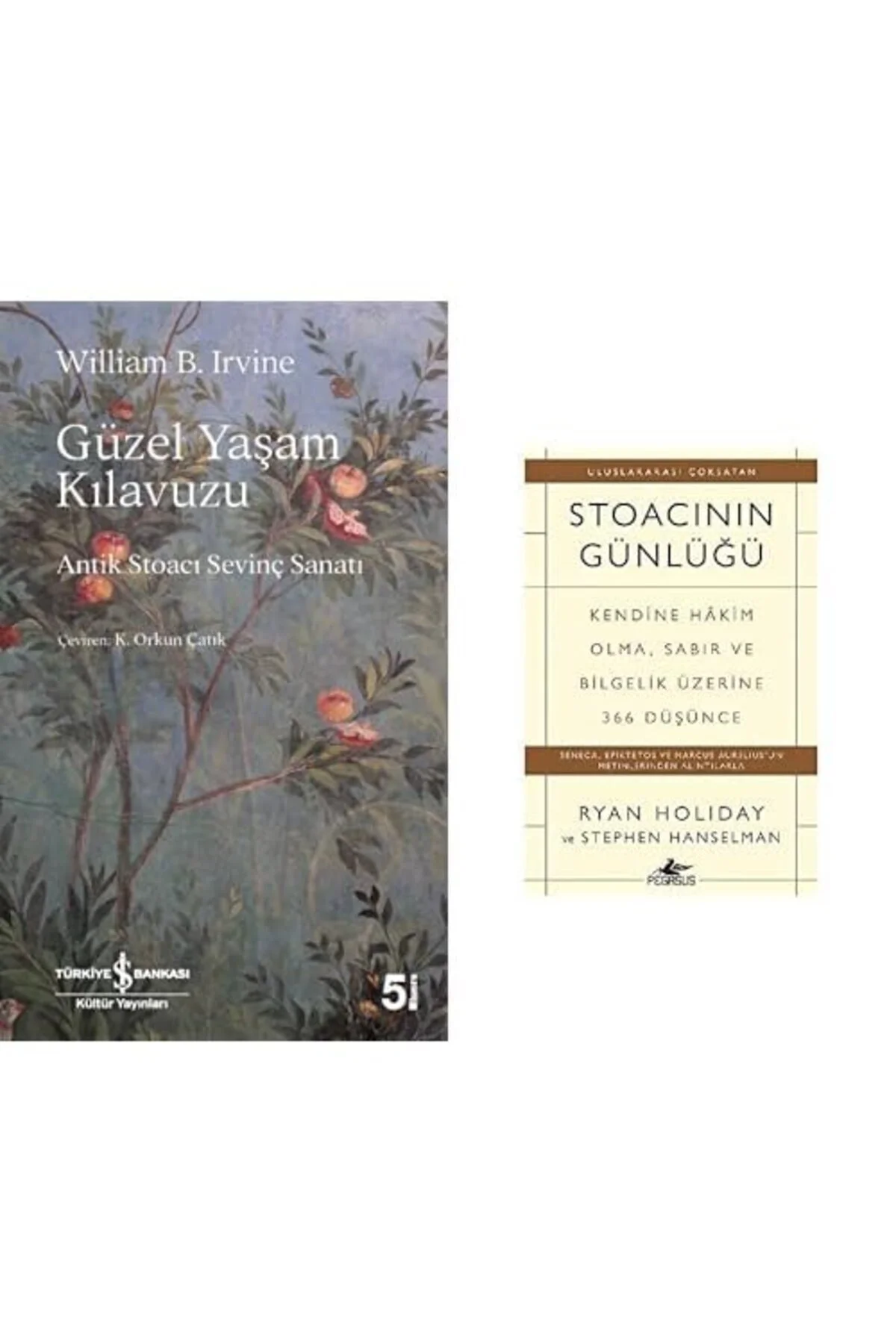 guzel yasam klavuzu+ stoacinin gunlugu=(2kitap) Fiyatı, Yorumları ve Özellikleri