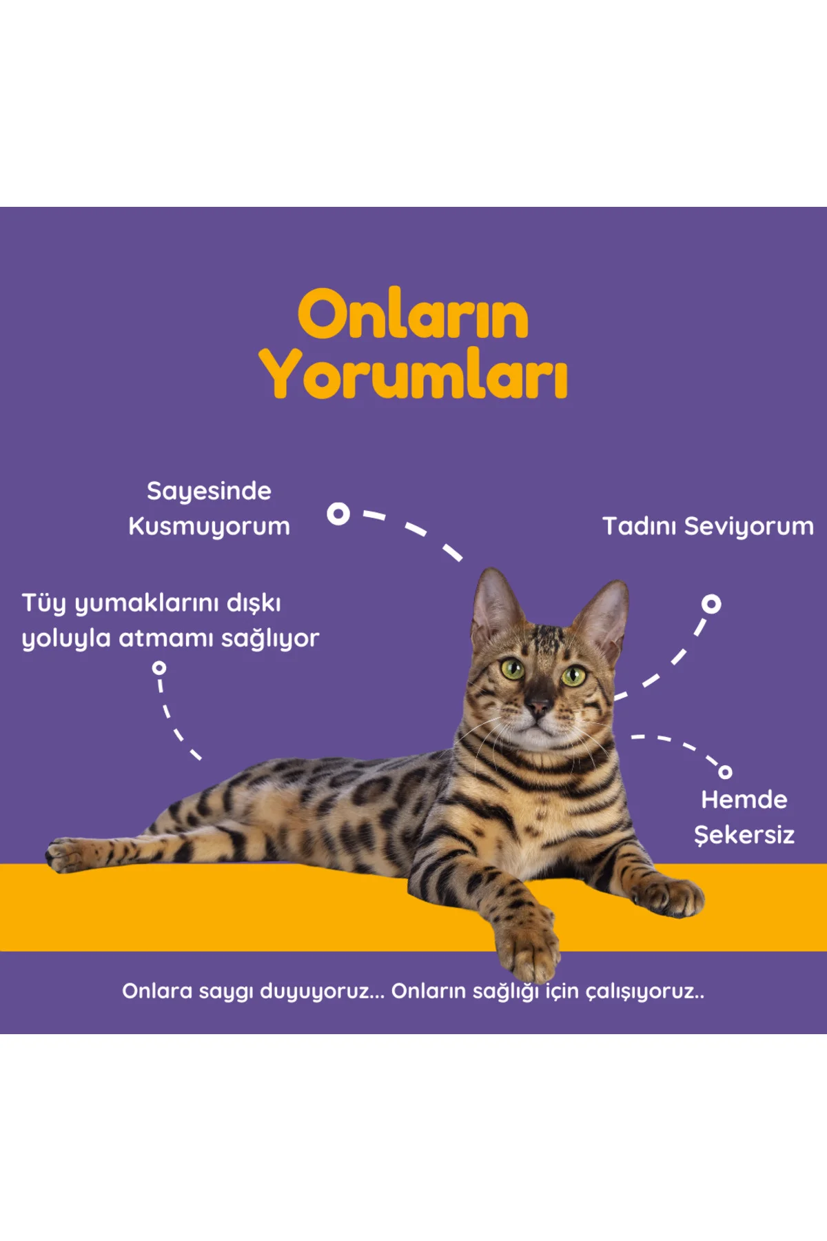 Hairball Malt Paste Kediler Için Tüy Yumağı Önleyen Malt Macun 10