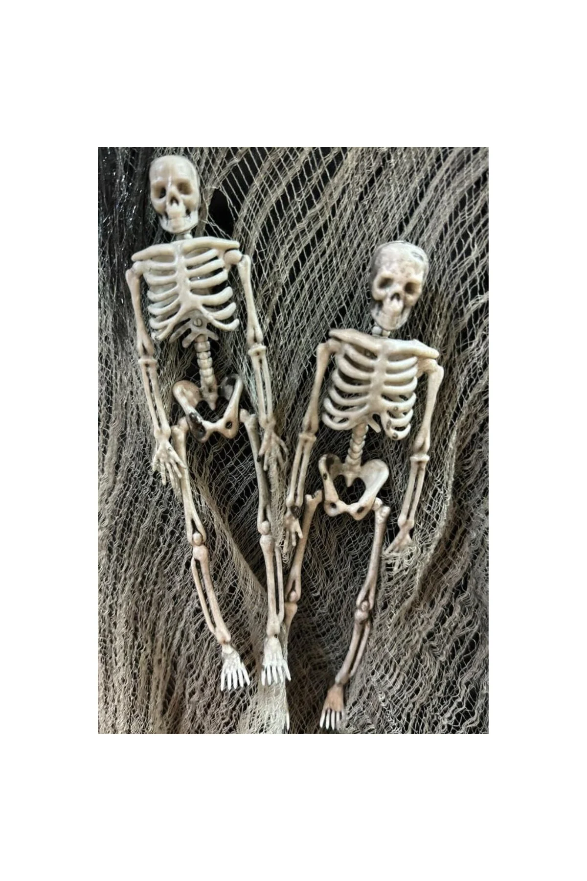 Halloween Cadılar Bayramı İskelet 2 Li