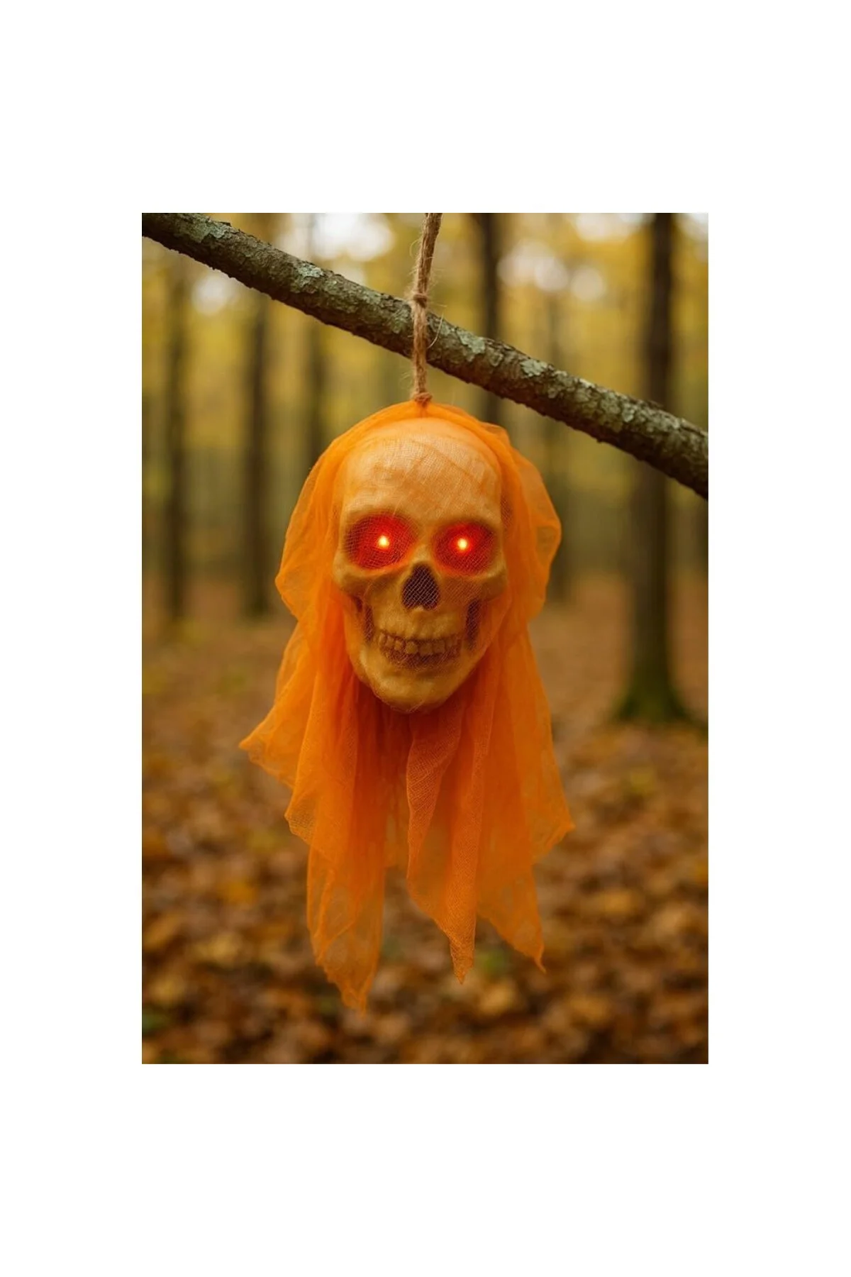 Halloween Kuru Kafa Turuncu Duvaklı Işıklı