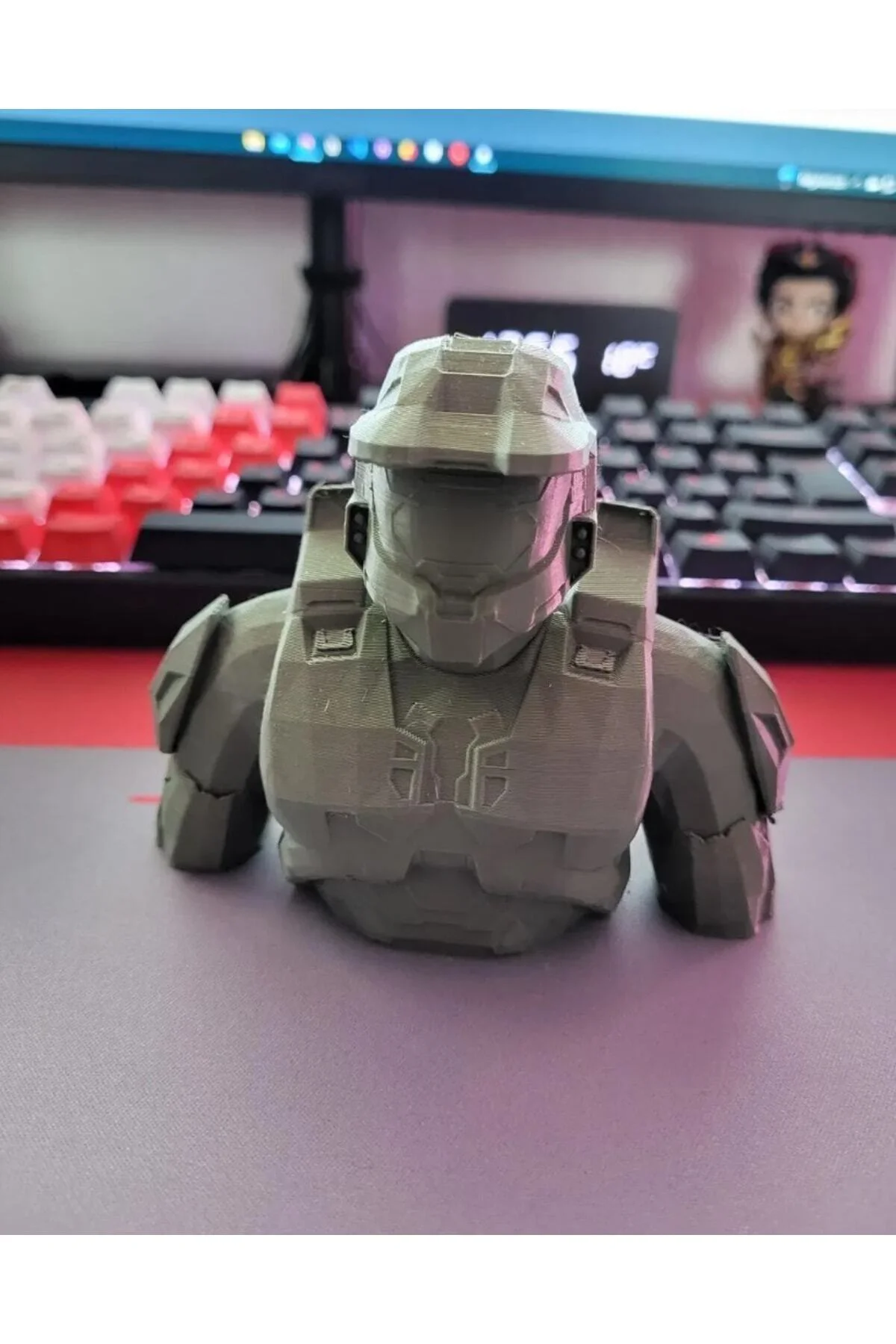 Halo Master Biblo