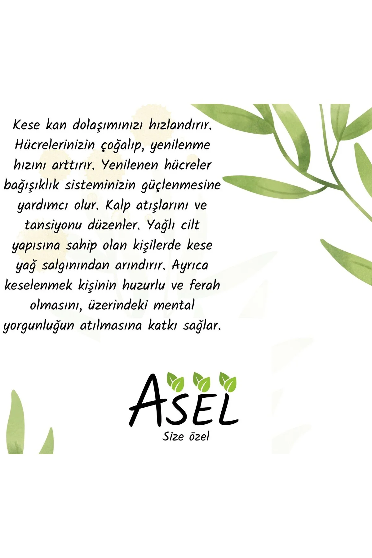 Hamam Ve Banyo Kesesi Lastikli
