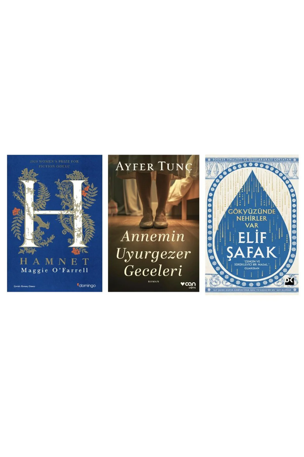 hamnet +birkadinin gizli cantasi+gokyuzunde nehirler var(3kitap)