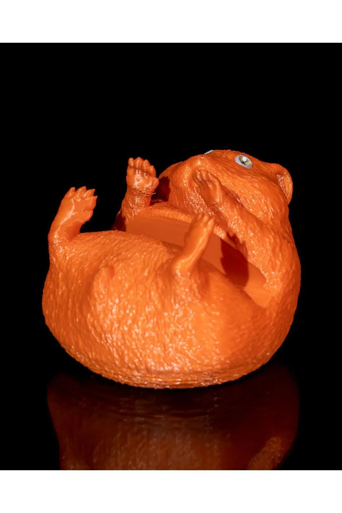 Hamster Telefon Standı & Tutacağı
