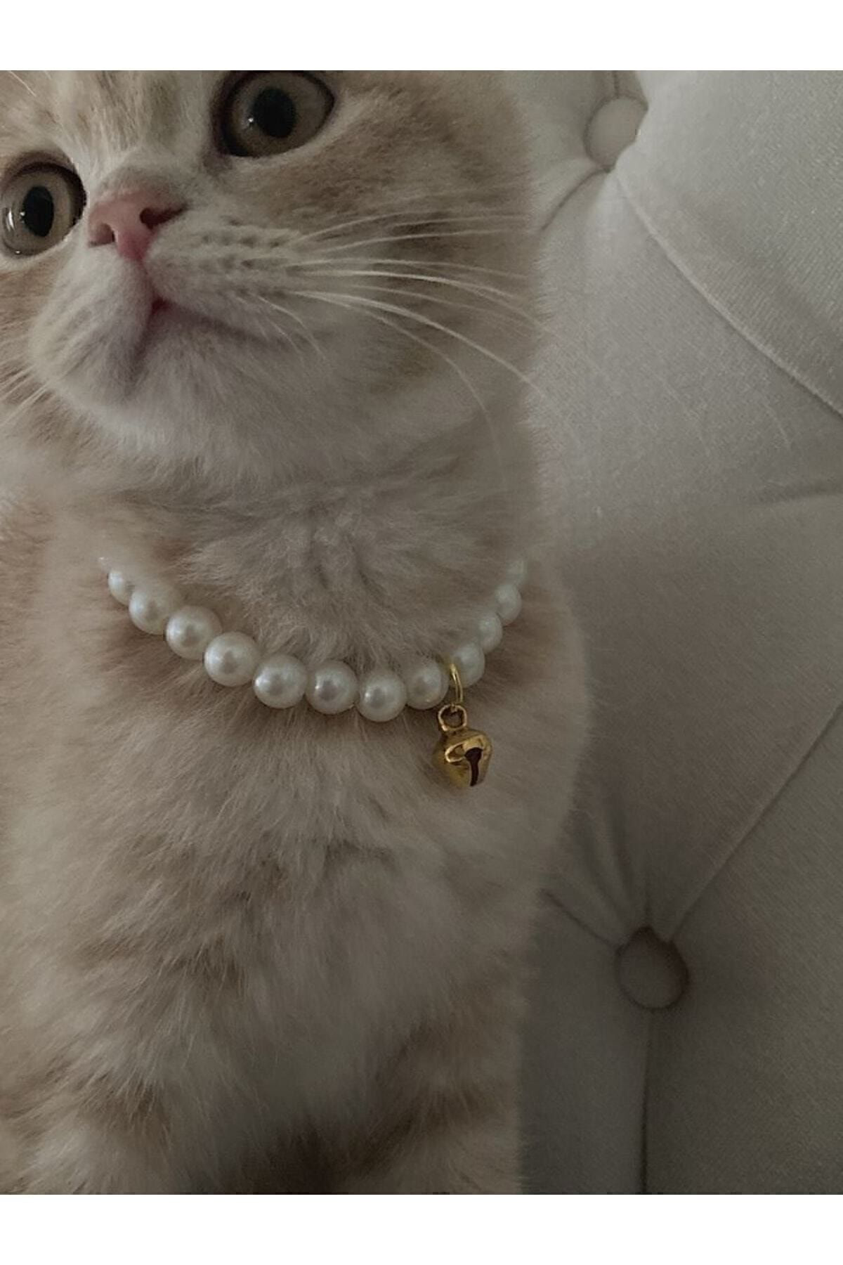 Palo Santo İncili Kedi Tasması