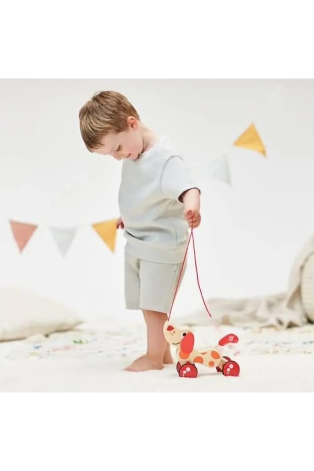 Hape Pepe ve Arkadaşları Çek Çek 1178227