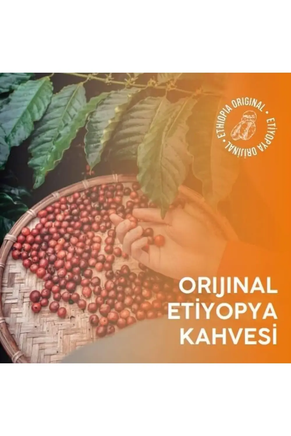 Harar Blend Pot 1kg 395519