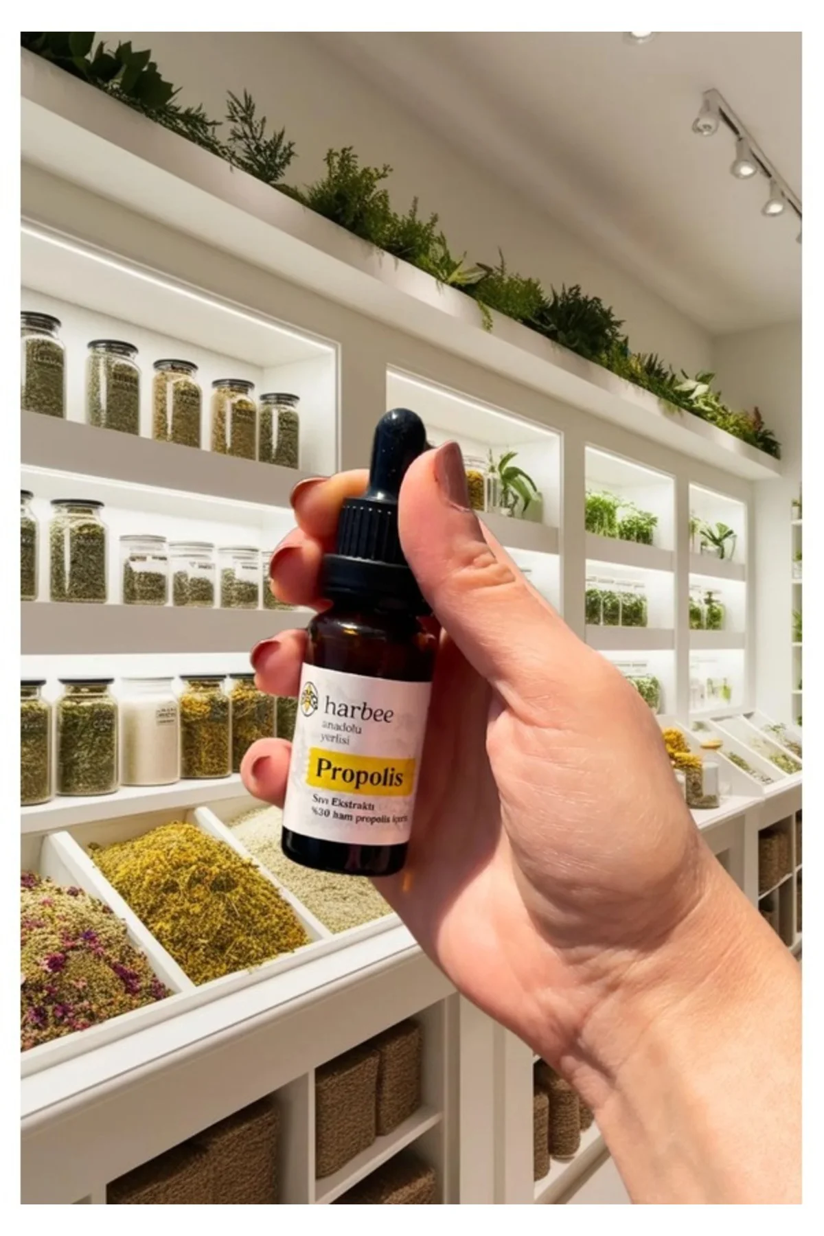 Harbee Propolis Damla %30 Propolis 20 ml Harbee Propolis Damla %30 Propolis 20 ml