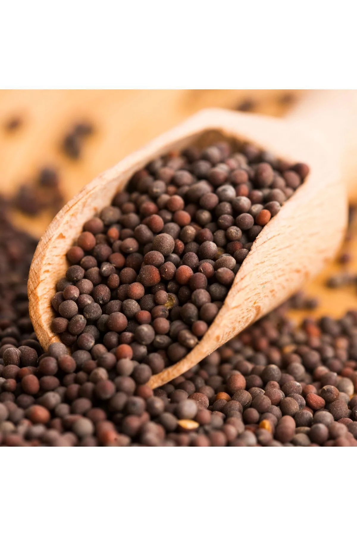 Hardal Siyah Tane Tohumu - 150 gr Hardal Siyah Tane Tohumu - 150 gr