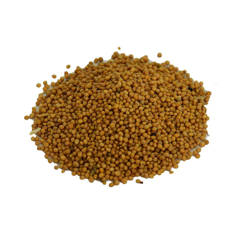 Hardal Tohumu Tane Doğal Sarı 100 Gr - Taze ve Katkısız Baharat