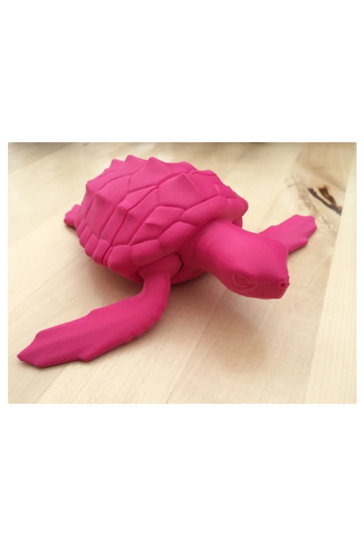 Hareketli Caretta Caretta Su Kaplumbağası Oyuncak (dev Boy)