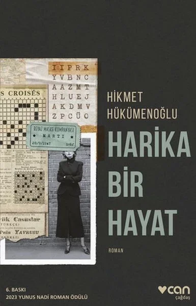 Harika Bir Hayat Fiyatı, Yorumları ve Özellikleri