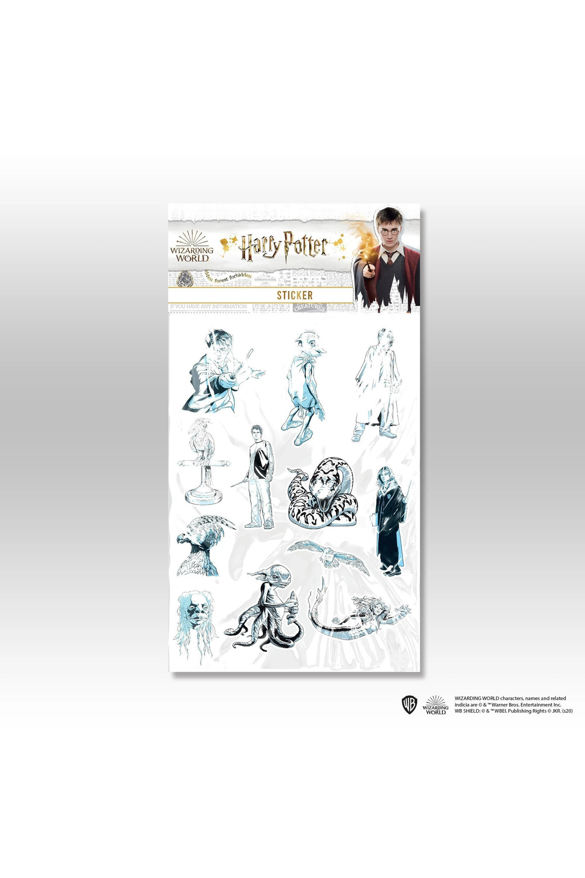 Harry Potter Karakter İkonları Çıkartma Seti