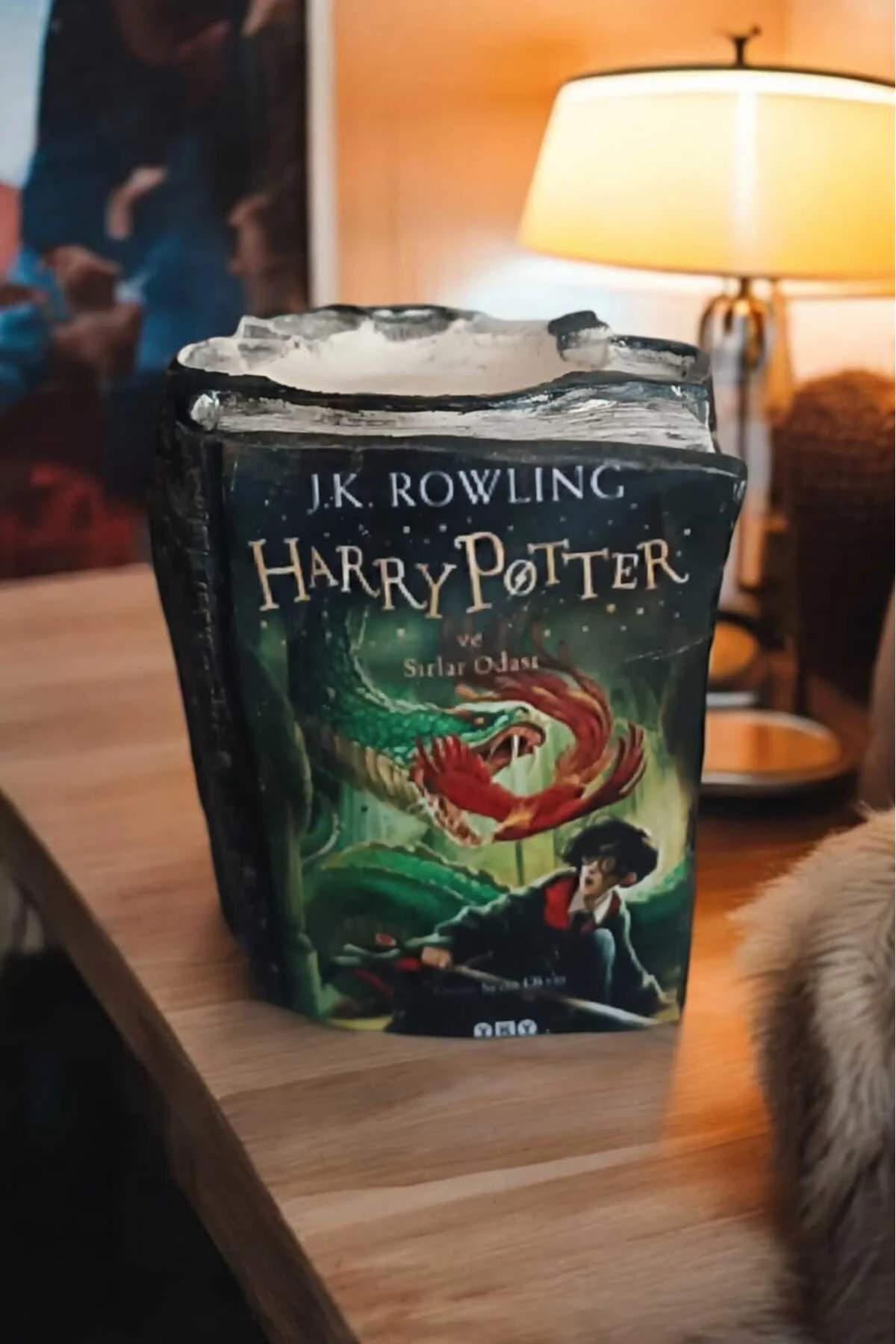 Harry Potter ve Sırlar Odası Kitabı Şeklinde Kalemlik 10 x 8 cm