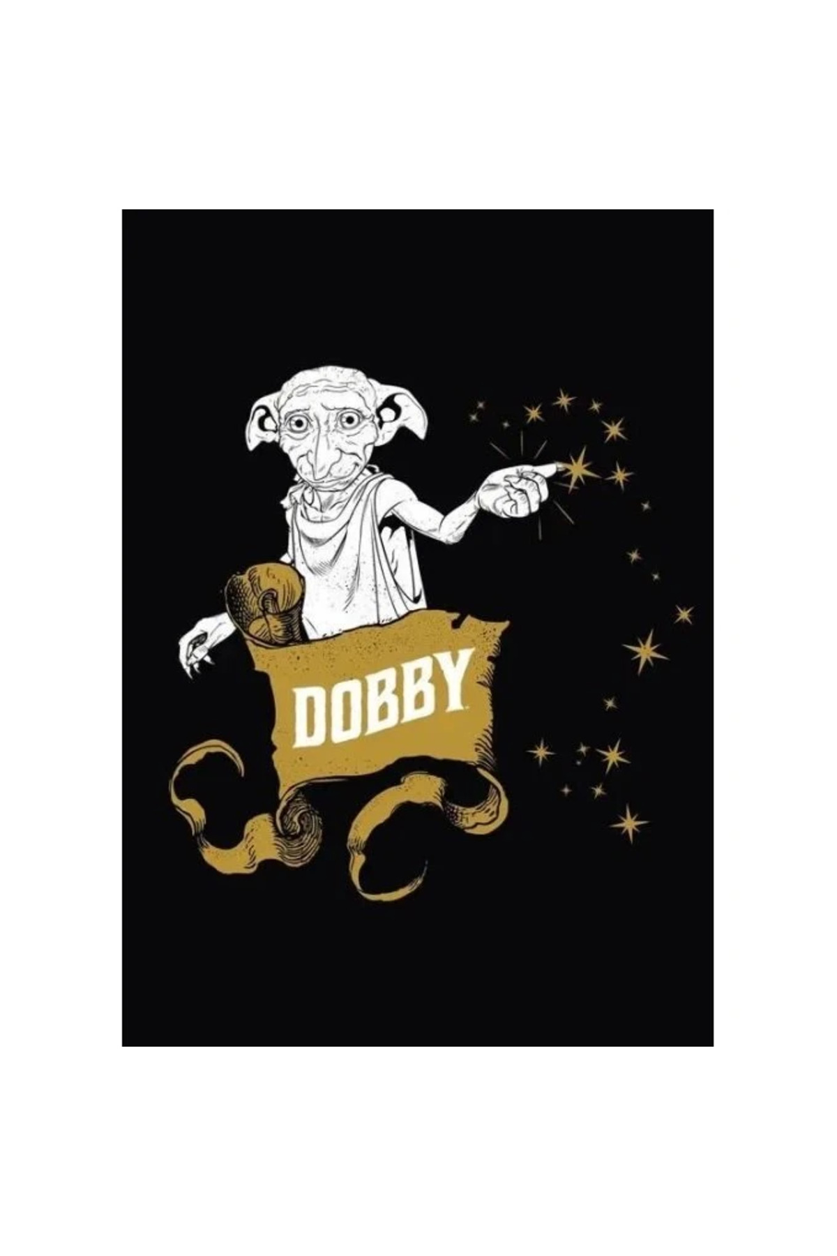 Harry Potter Wizarding World Duvar Posteri Dobby 50x70 cm