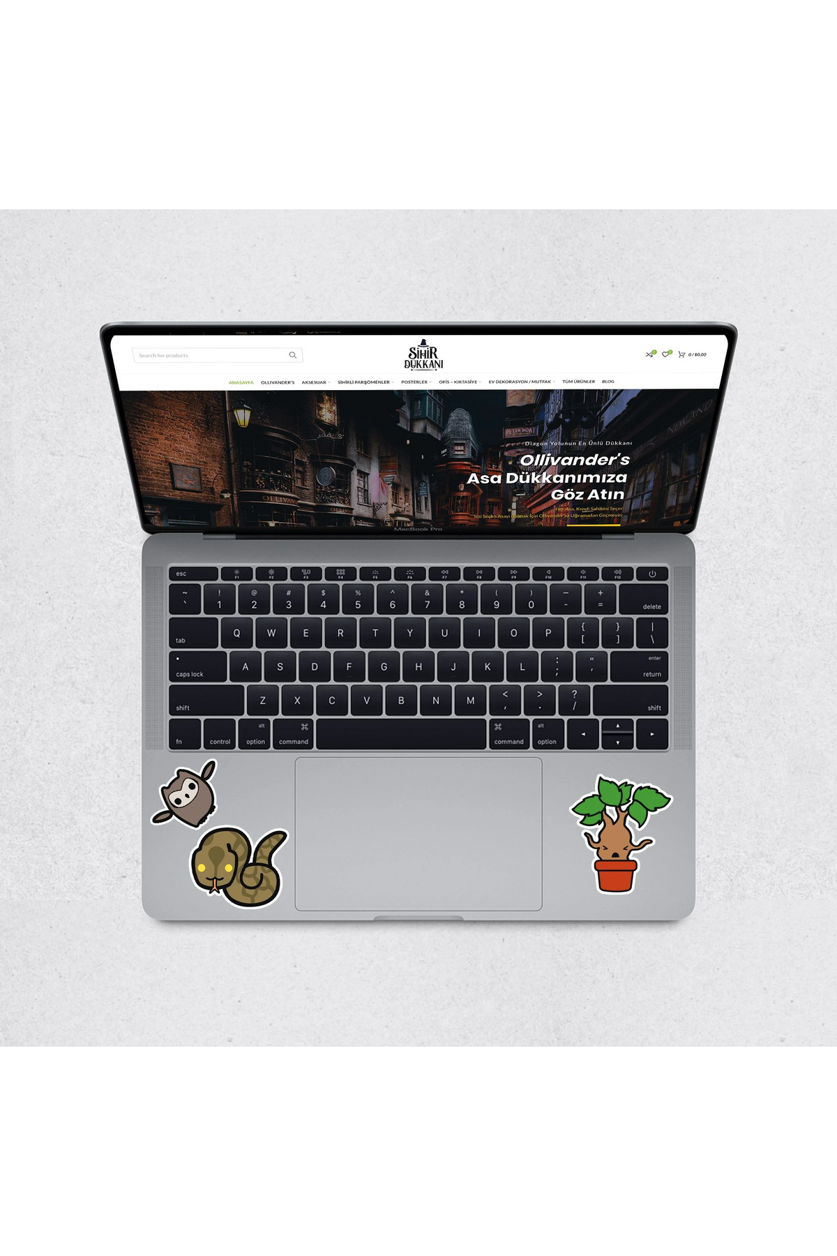Harry Potter Wizarding World Animal Icons Çıkartma Seti