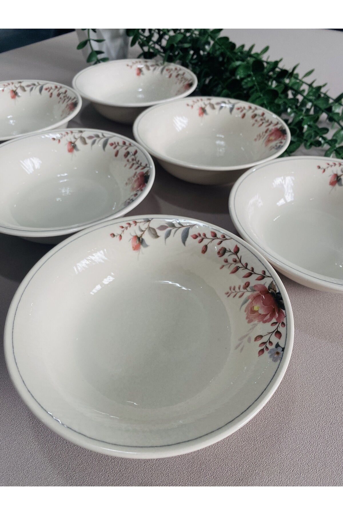 Hasbahçe Model 6 Adet Çorba Kasesi