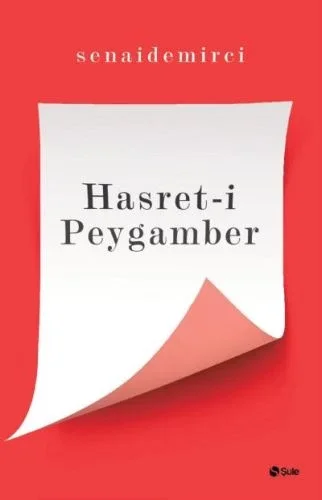 Hasret'i Peygamber Fiyatı, Yorumları ve Özellikleri