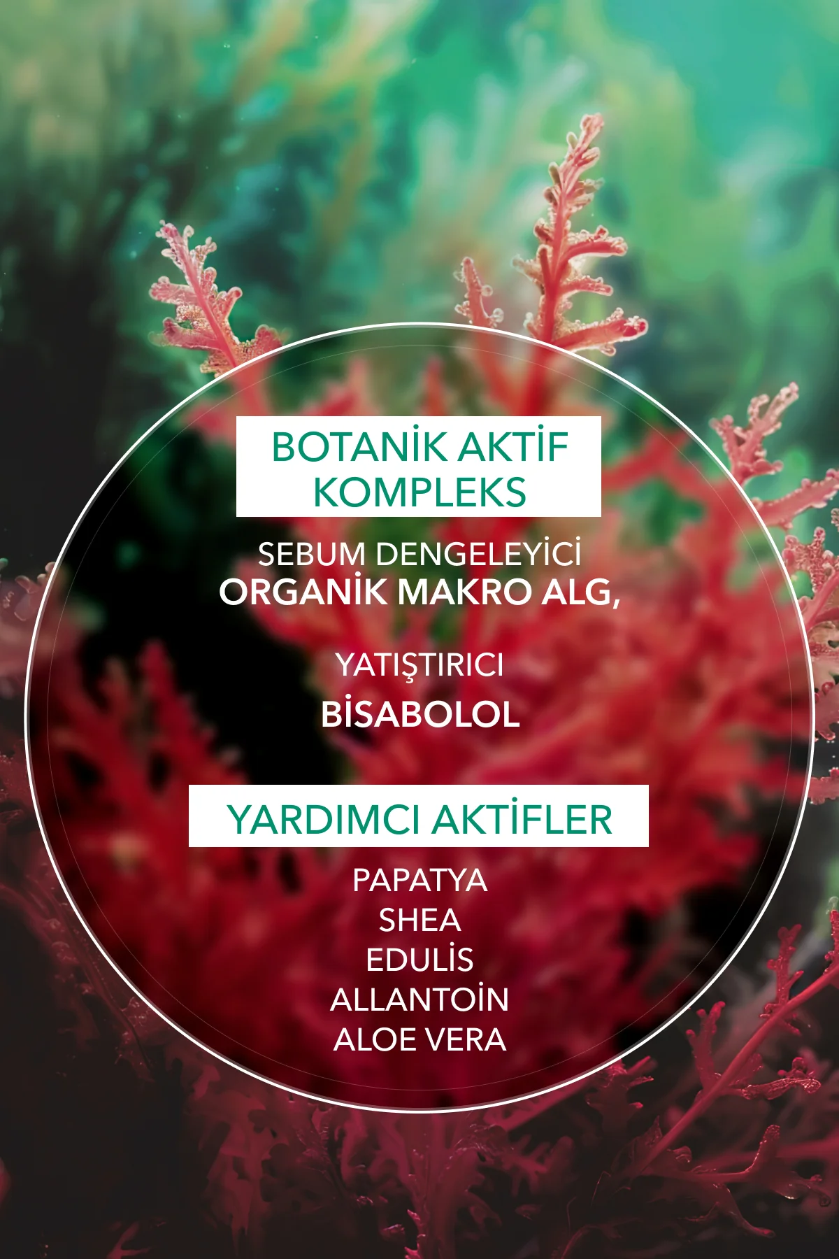 Hassas Cilt Yatıştırıcı Krem-Bisabolol& Allantoin&Aloe Vera-Sebo 