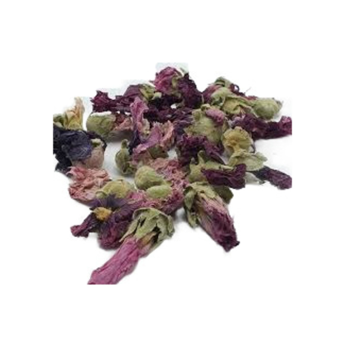 Antepsan Hatmi Çiçeği