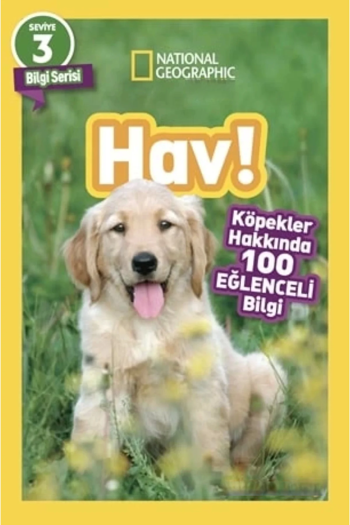 Hav!