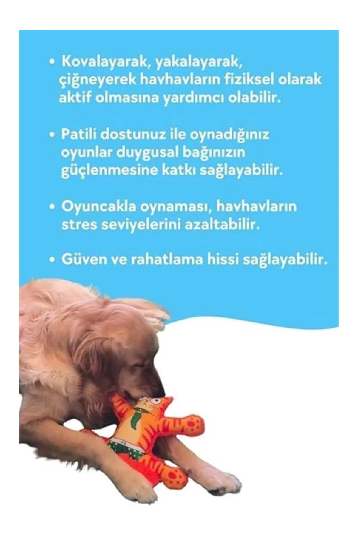 Havhav Mihav Sesli Köpek Oyuncağı Turuncu Renkli Kedi Şekilli Köp