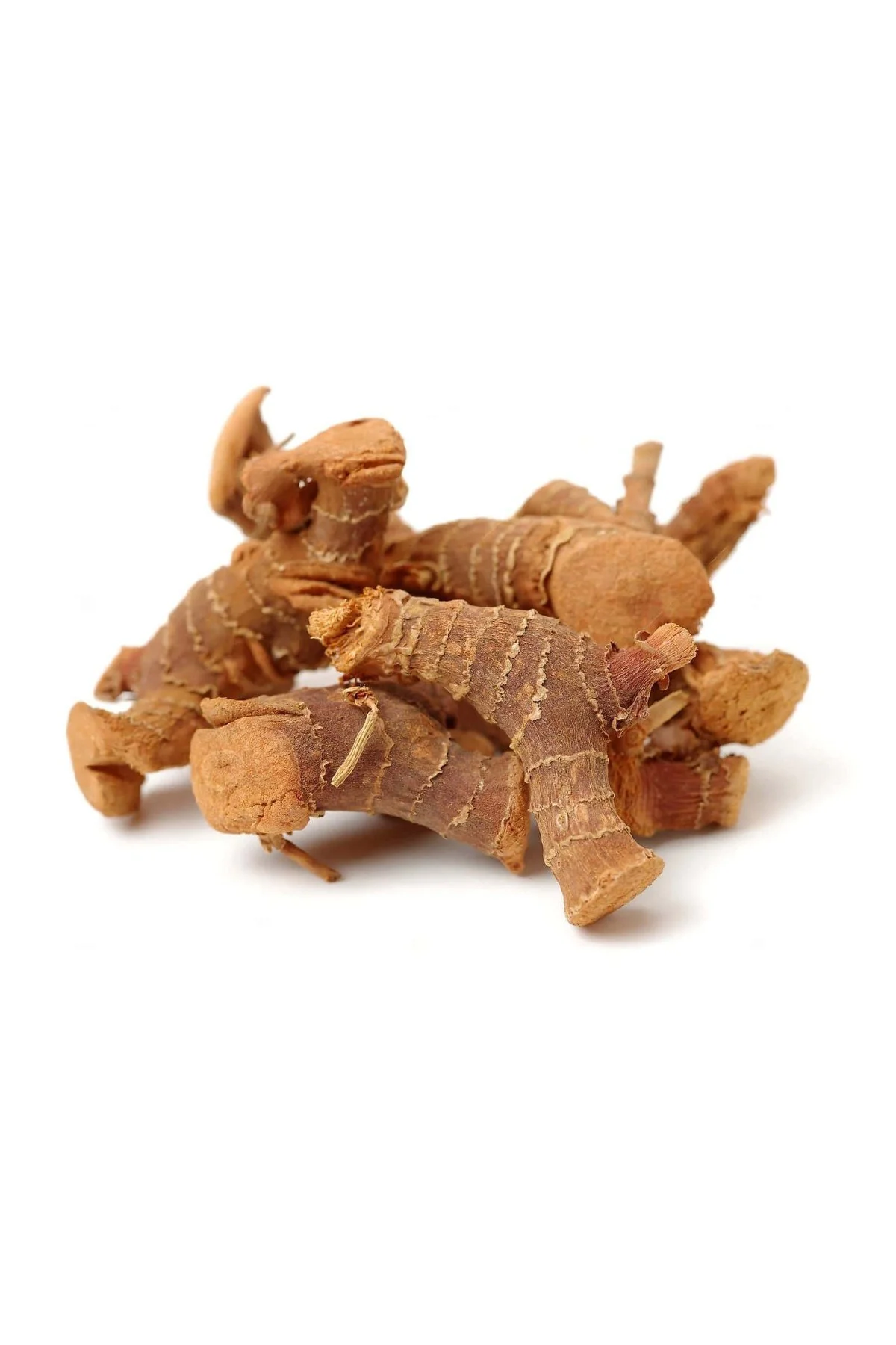 HAVLICAN KÖK 70 GR