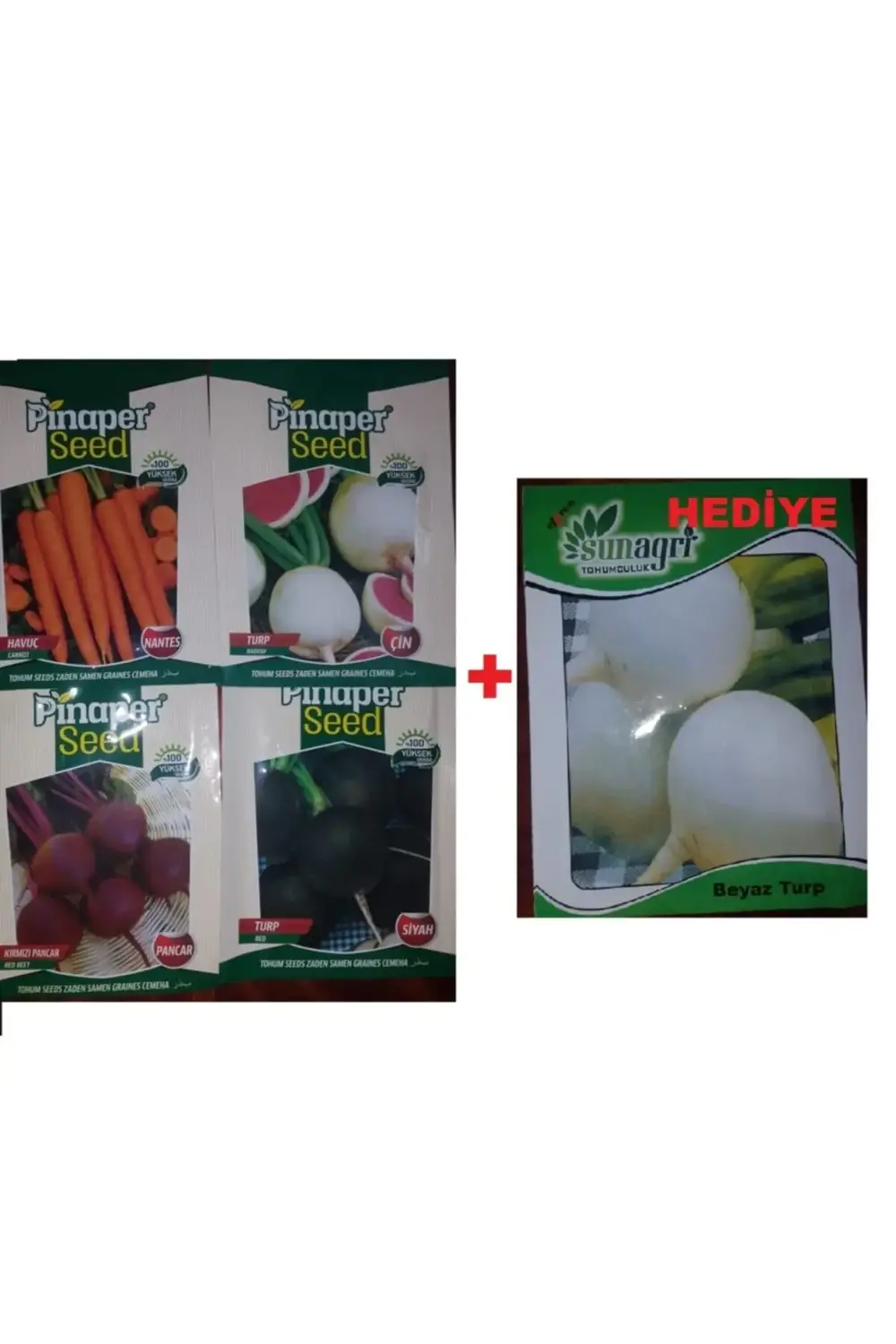 Havuç Tohumu - Kırmızı Pancar Tohumu - Turp Siyah Tohumu - Turp Ç