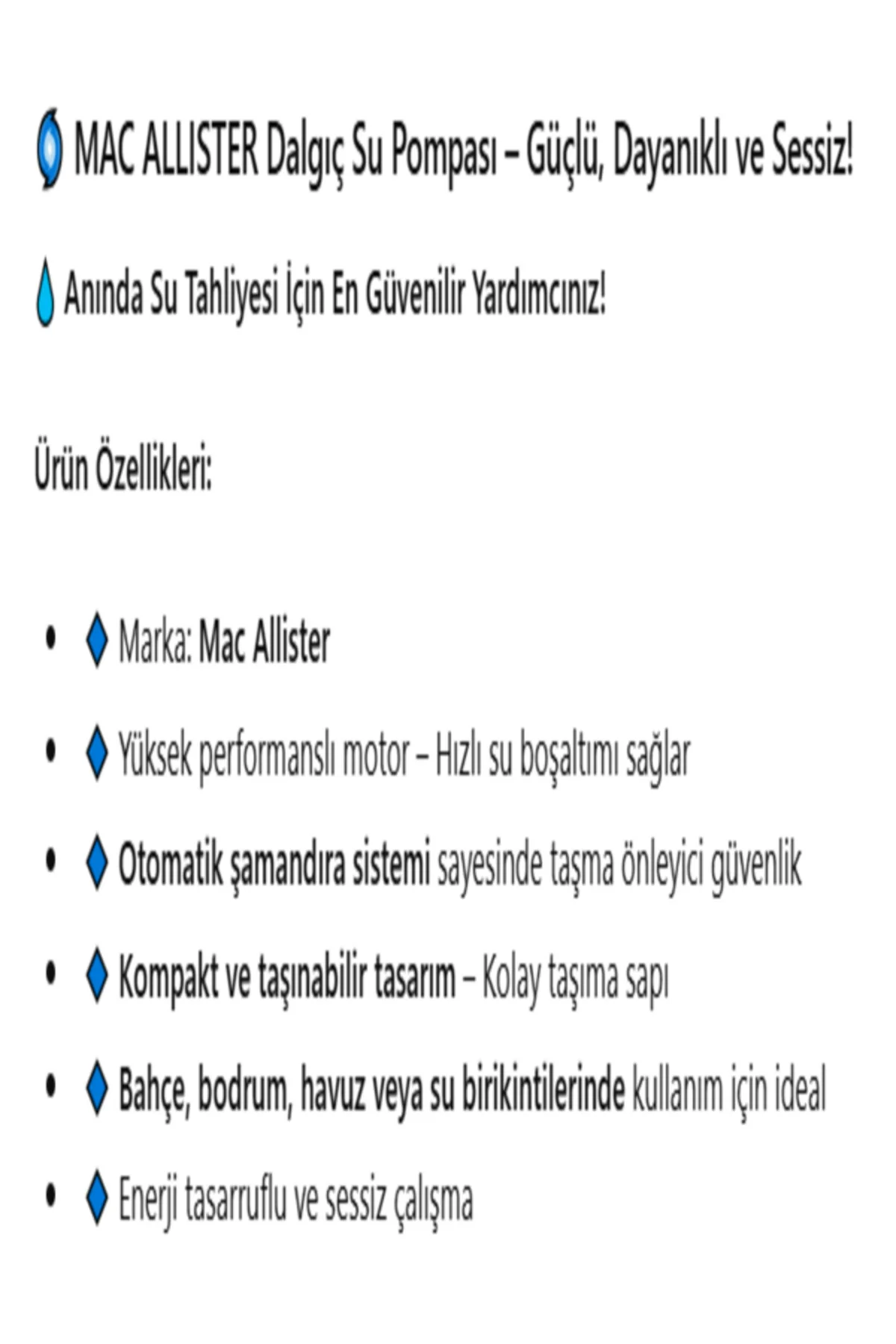 HAVUZ POMPASI - Görsel 3