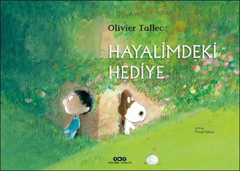 Hayalimdeki Hediye Fiyatı, Yorumları ve Özellikleri