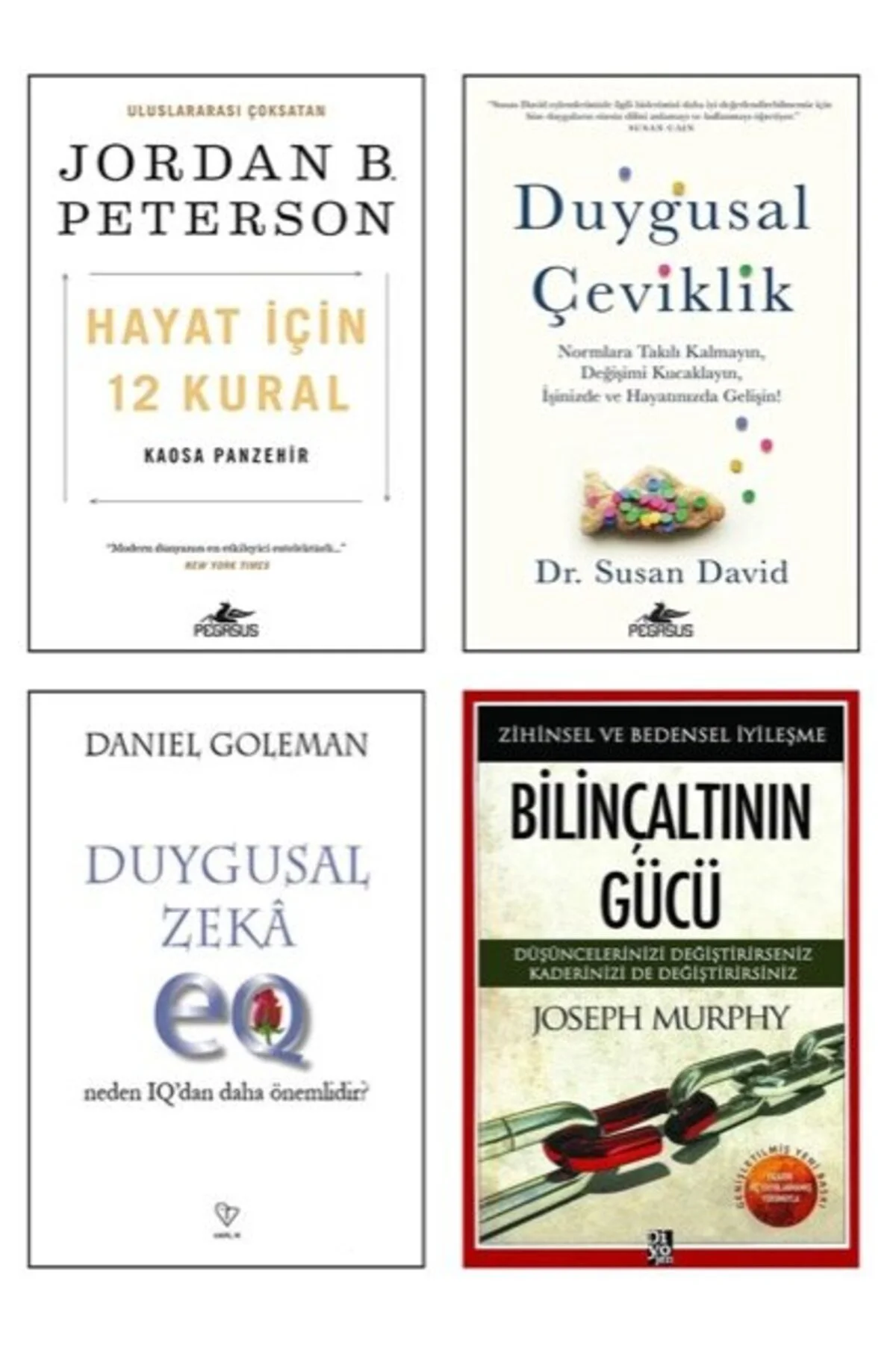 hayat icin 12 kural-duygusal ceviklik-duygusal zeka-bilincaltinin gucu=4 set