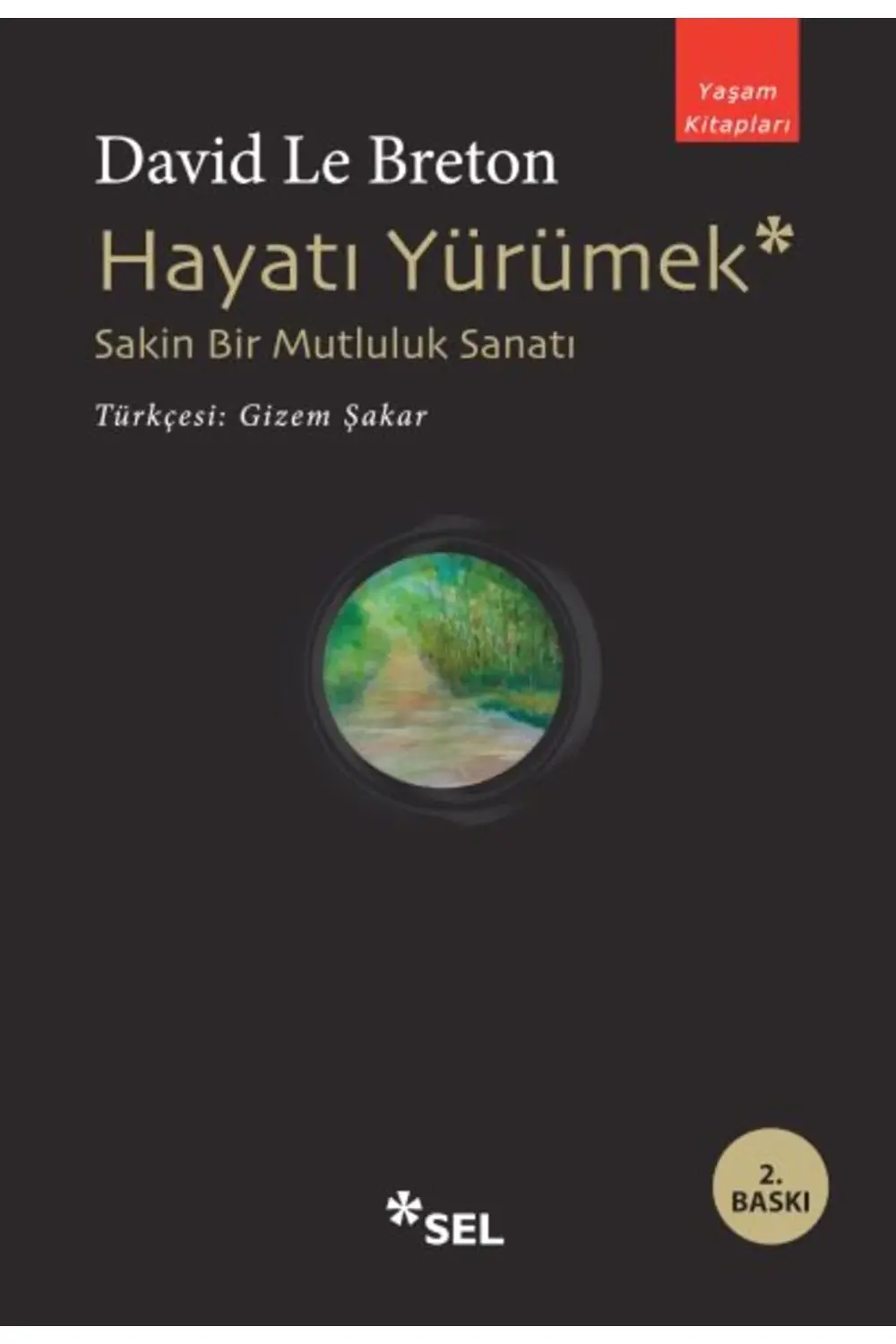 Hayatı Yürümek Sakin Bir Mutluluk Sanatı
