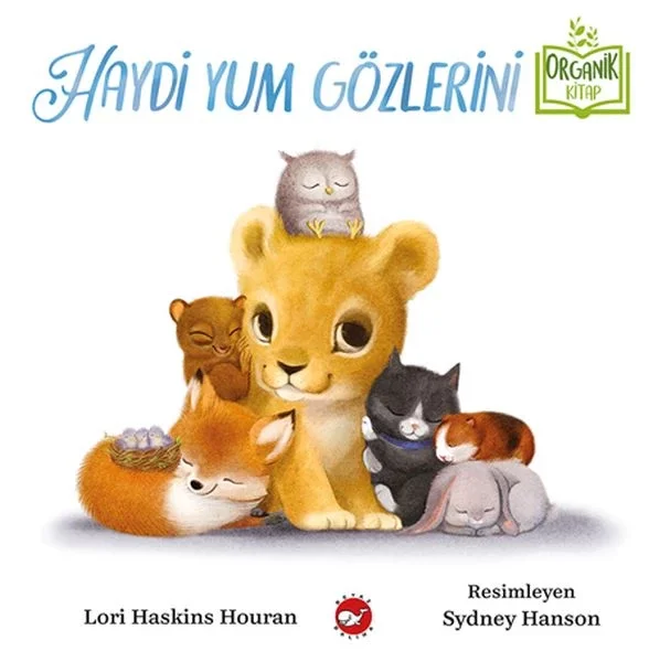 Haydi Yum Gözlerini Fiyatı, Yorumları ve Özellikleri