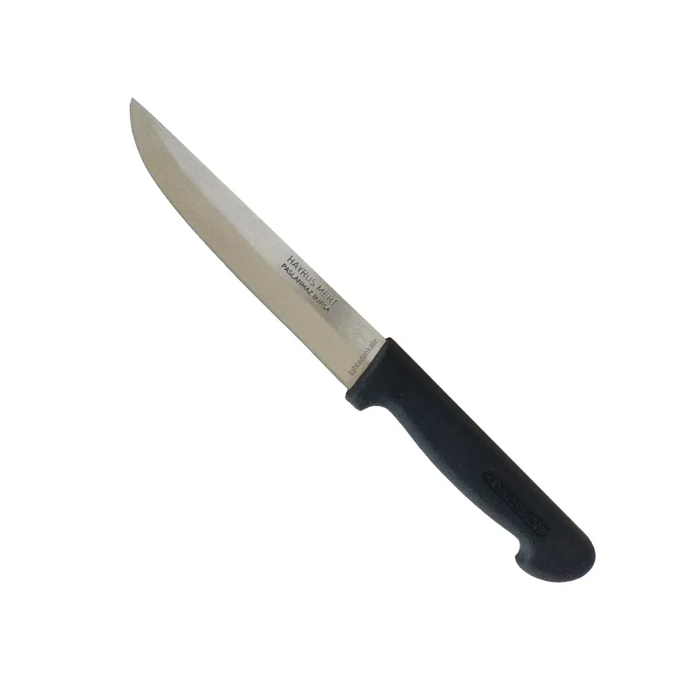 Hayruş Mert Paslanmaz Bursa Mutfak, Ekmek Bıçağı 14 cm, Plastik Sap Fiyatı, Yorumları ve Özellikleri