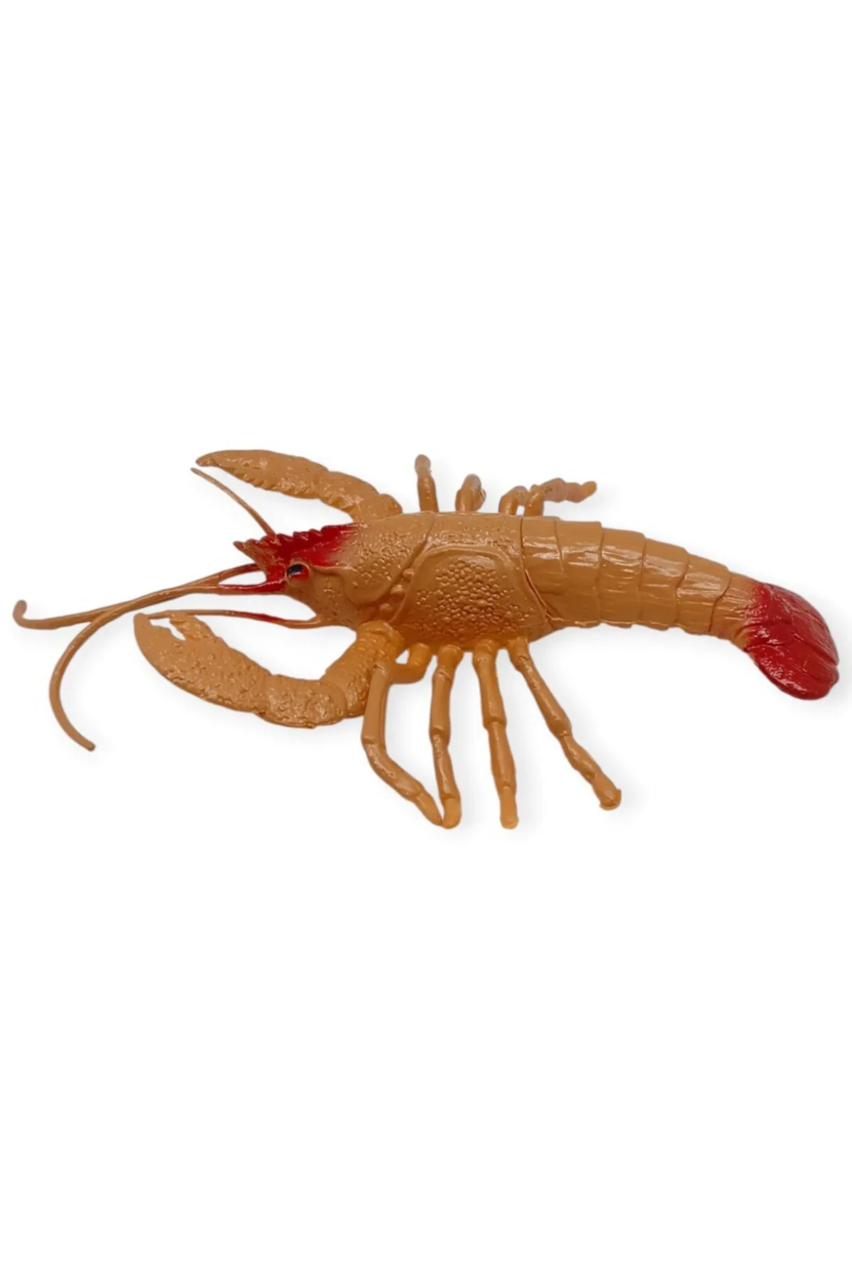 Hayvan Figürleri - Deniz Hayvanları 15 cm - Istakoz (Lisinya)